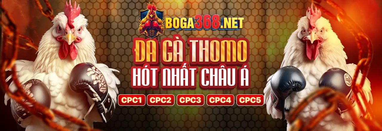 Đăng nhập mu66 và bắt đầu trải nghiệm cá cược